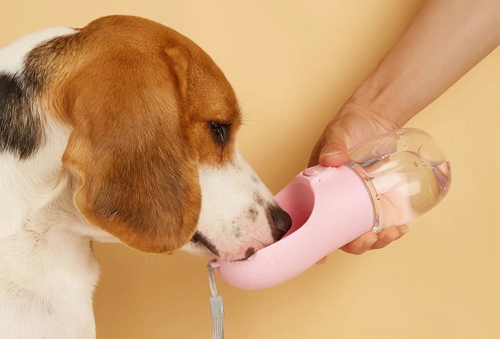 Portable Water Bottle for Small to Medium Dogs and Cats - Ideal for Outdoor Walks and Hydration Needs